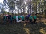 Natural landscape Wilderness Nature reserve Community Tree