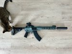IMG_3850.JPEG
